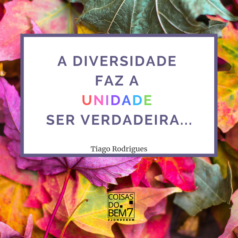 A diversidade faz a unidade ser verdadeira...